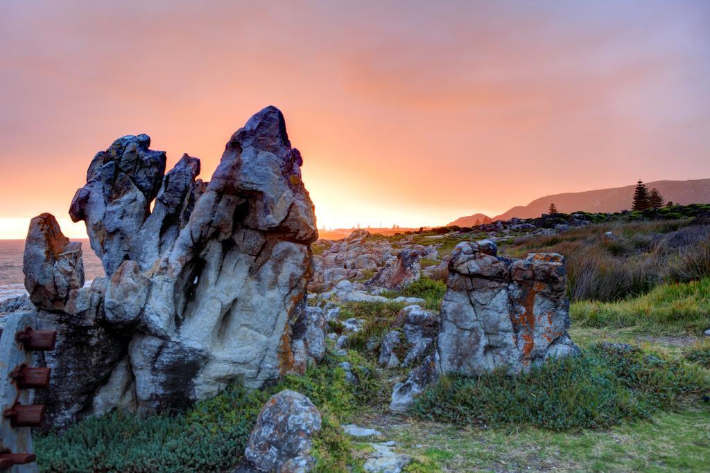 Abalone Guest Lodge Hermanus Eksteriør billede